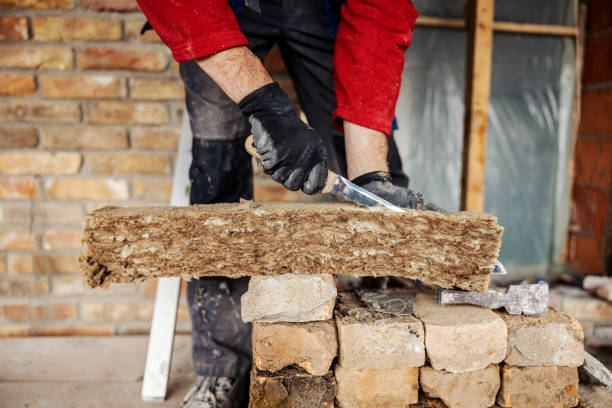 Best Insulation Removal  in West Vero Corridor, FL