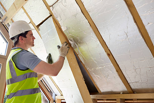 Best Professional Insulation Contractor  in West Vero Corridor, FL